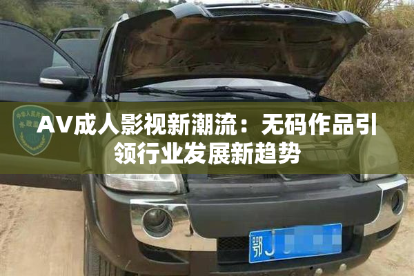 AV成人影视新潮流：无码作品引领行业发展新趋势