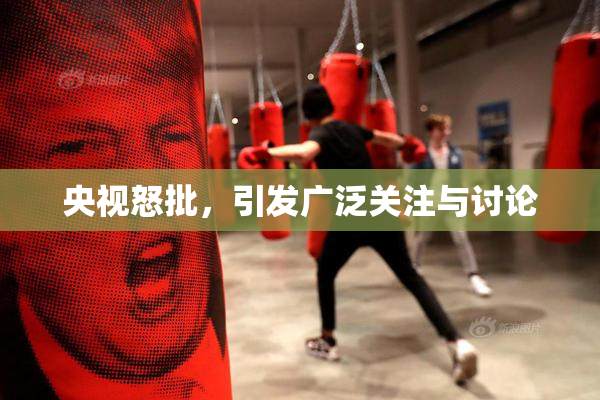 央视怒批，引发广泛关注与讨论