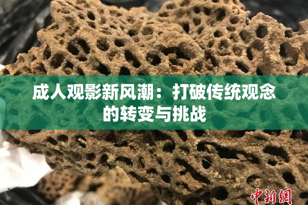 成人观影新风潮：打破传统观念的转变与挑战