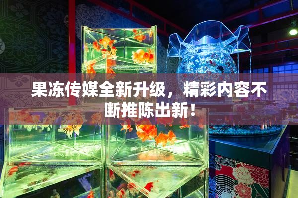 果冻传媒全新升级，精彩内容不断推陈出新！