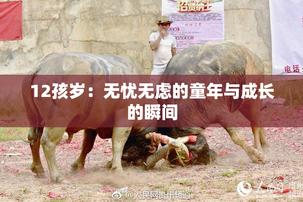 12孩岁：无忧无虑的童年与成长的瞬间