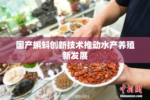 国产蝌蚪创新技术推动水产养殖新发展