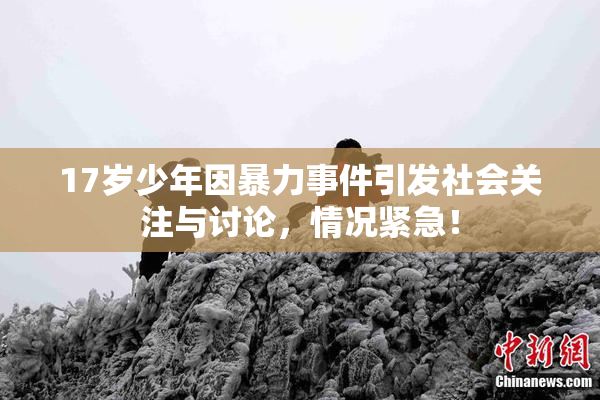 17岁少年因暴力事件引发社会关注与讨论，情况紧急！