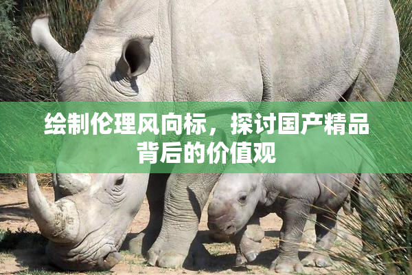 绘制伦理风向标，探讨国产精品背后的价值观