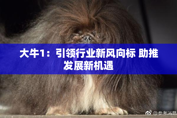 大牛1：引领行业新风向标 助推发展新机遇