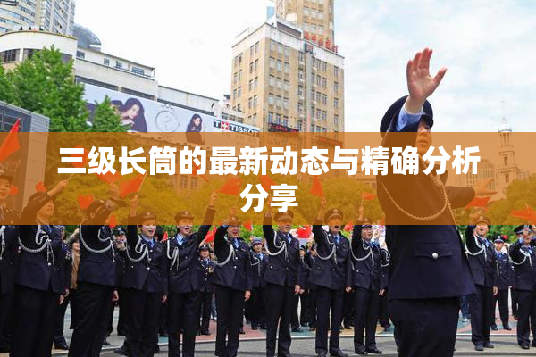 三级长筒的最新动态与精确分析分享