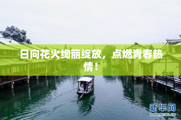日向花火绚丽绽放，点燃青春热情！