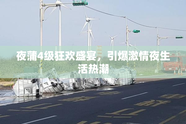 夜蒲4级狂欢盛宴，引爆激情夜生活热潮