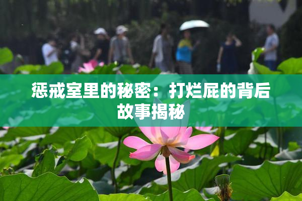 惩戒室里的秘密：打烂屁的背后故事揭秘