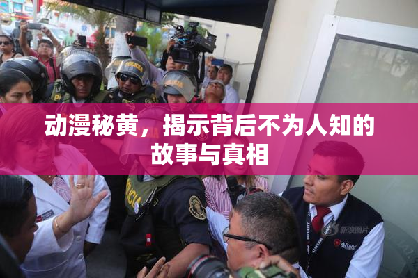 动漫秘黄，揭示背后不为人知的故事与真相