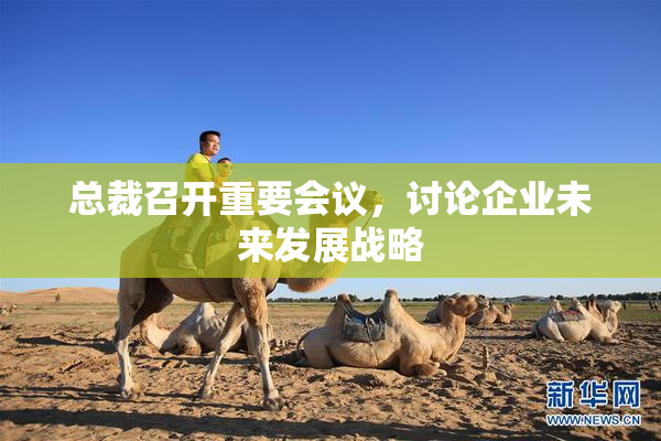 总裁召开重要会议，讨论企业未来发展战略