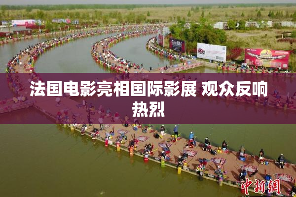 法国电影亮相国际影展 观众反响热烈