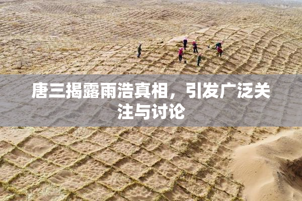 唐三揭露雨浩真相，引发广泛关注与讨论
