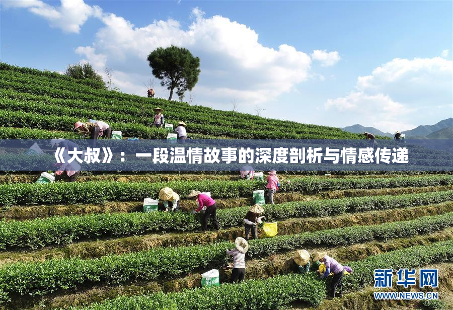 《大叔》：一段温情故事的深度剖析与情感传递