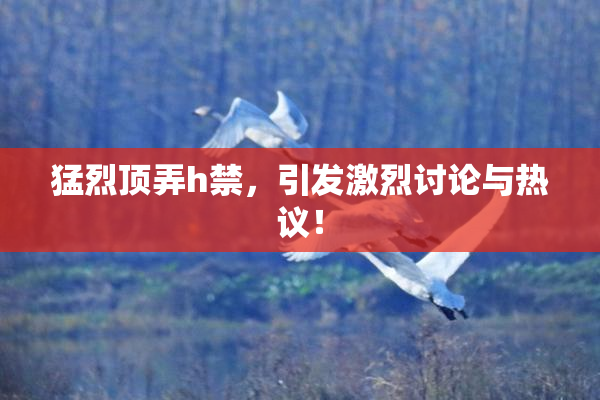 猛烈顶弄h禁，引发激烈讨论与热议！