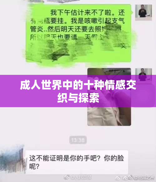 成人世界中的十种情感交织与探索
