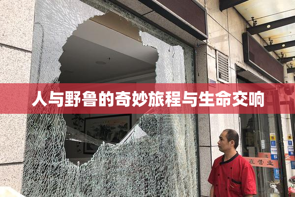 人与野鲁的奇妙旅程与生命交响