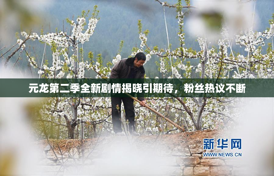 元龙第二季全新剧情揭晓引期待，粉丝热议不断