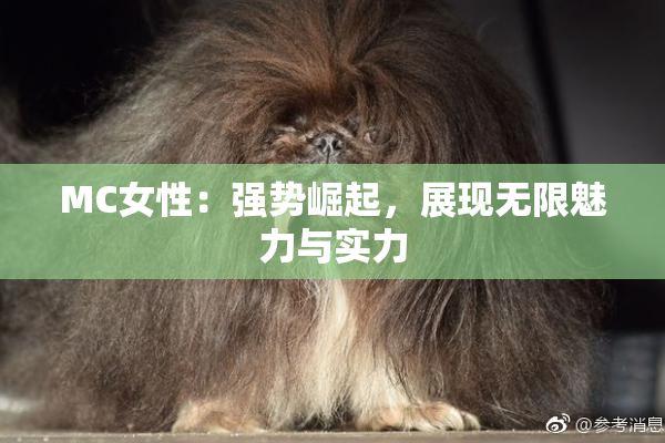 MC女性：强势崛起，展现无限魅力与实力