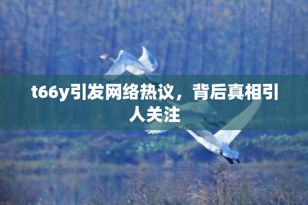 t66y引发网络热议，背后真相引人关注