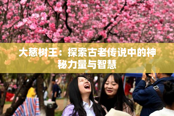 大慈树王：探索古老传说中的神秘力量与智慧