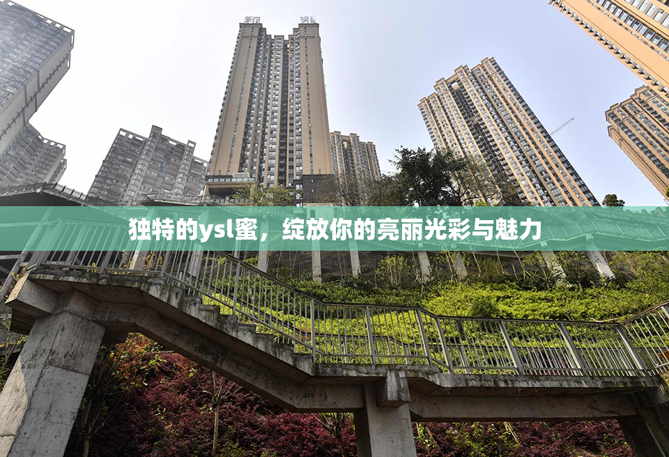 独特的ysl蜜，绽放你的亮丽光彩与魅力
