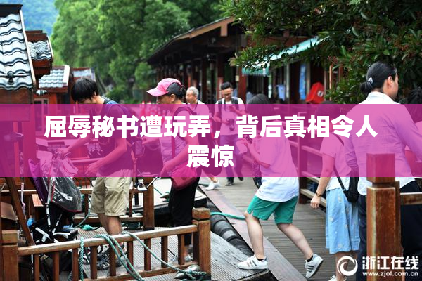 屈辱秘书遭玩弄，背后真相令人震惊