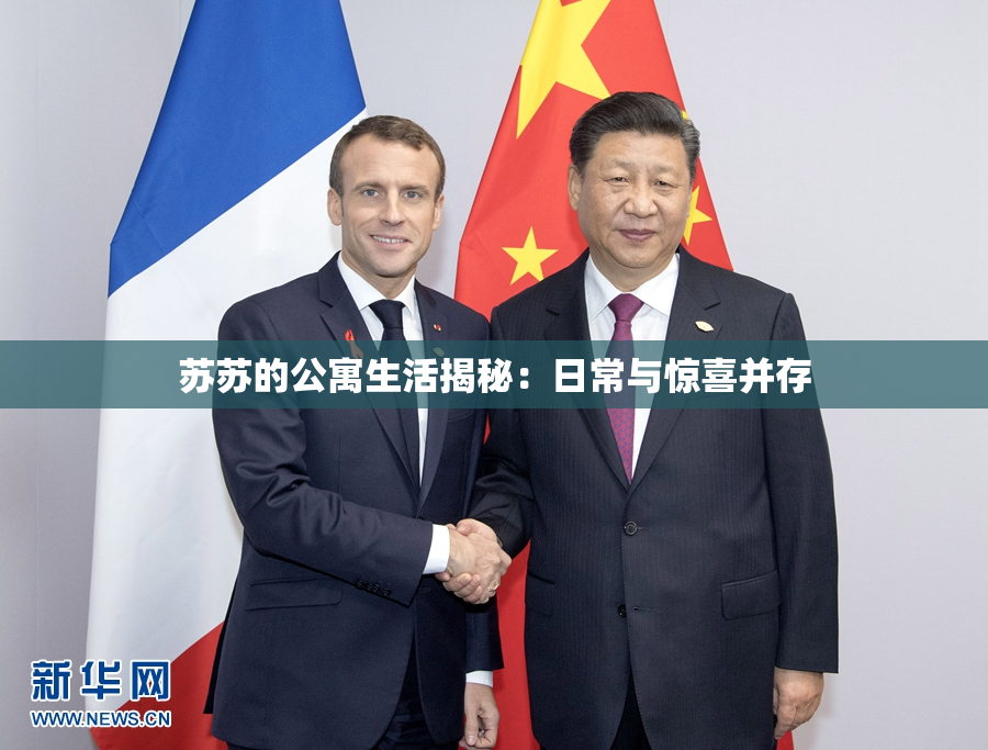 苏苏的公寓生活揭秘：日常与惊喜并存