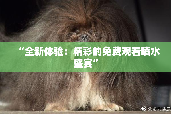 “全新体验：精彩的免费观看喷水盛宴”