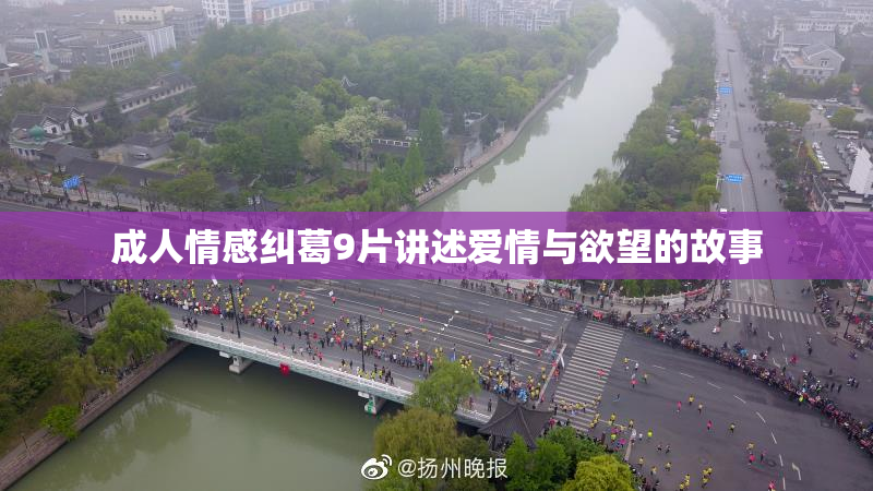 成人情感纠葛9片讲述爱情与欲望的故事