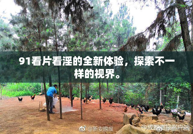 91看片看淫的全新体验，探索不一样的视界。