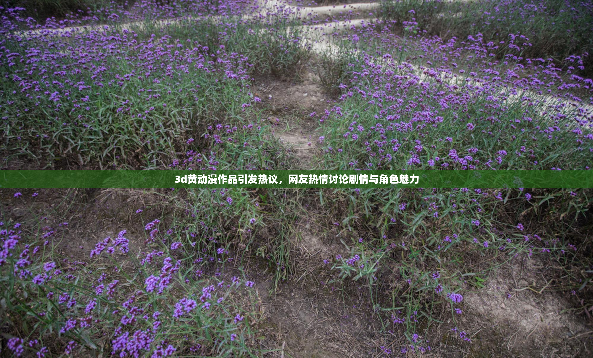 3d黄动漫作品引发热议，网友热情讨论剧情与角色魅力