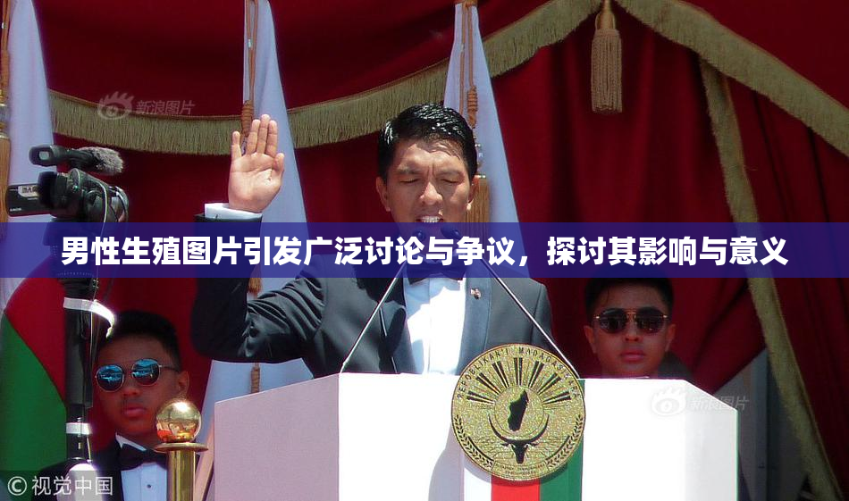 男性生殖图片引发广泛讨论与争议，探讨其影响与意义