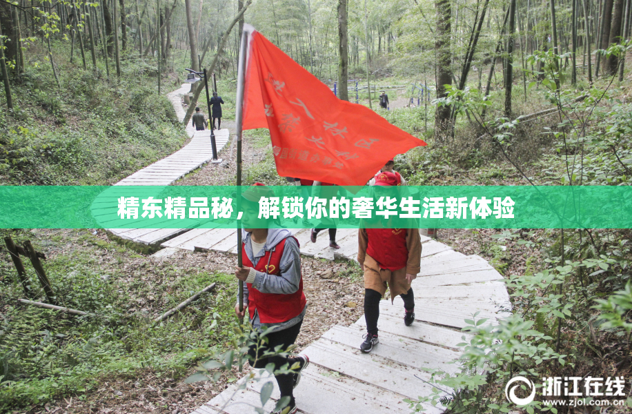 精东精品秘，解锁你的奢华生活新体验