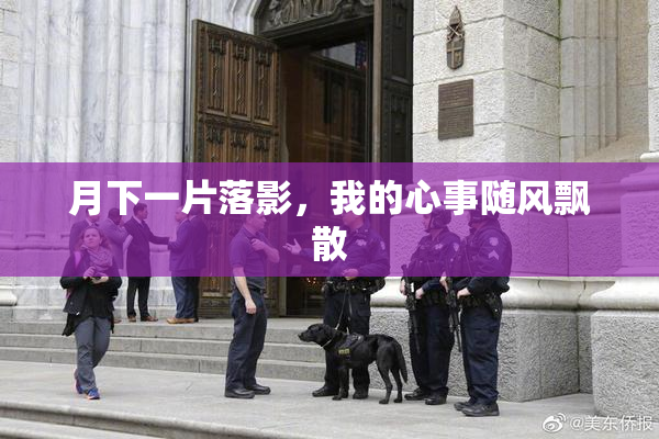 月下一片落影，我的心事随风飘散