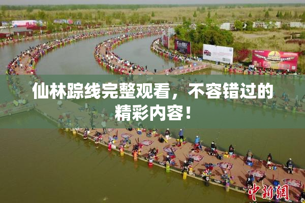 仙林踪线完整观看，不容错过的精彩内容！