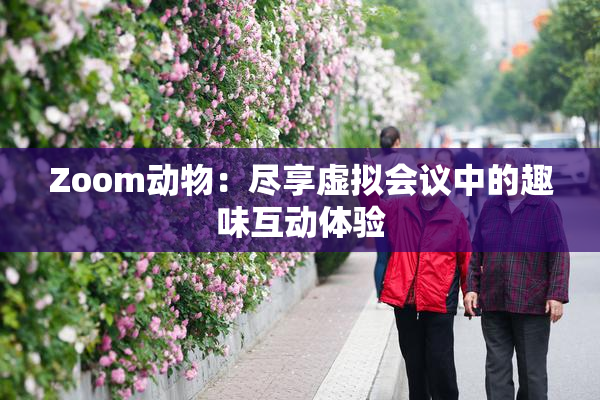 Zoom动物：尽享虚拟会议中的趣味互动体验