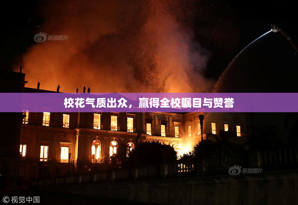 校花气质出众，赢得全校瞩目与赞誉
