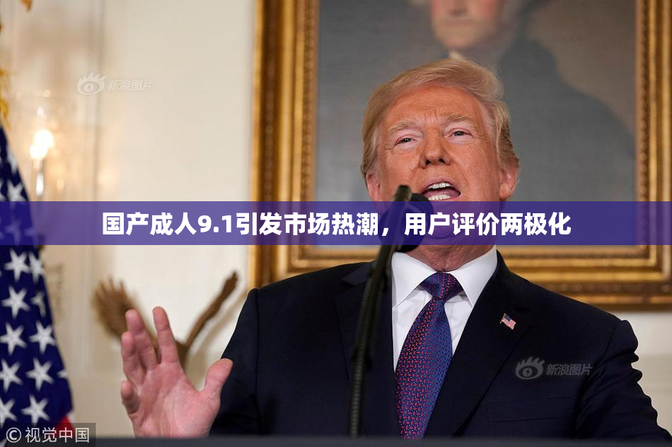 国产成人9.1引发市场热潮，用户评价两极化
