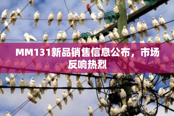 MM131新品销售信息公布，市场反响热烈