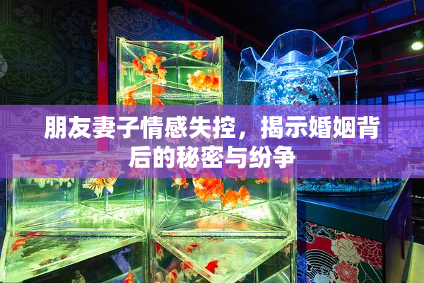 朋友妻子情感失控，揭示婚姻背后的秘密与纷争
