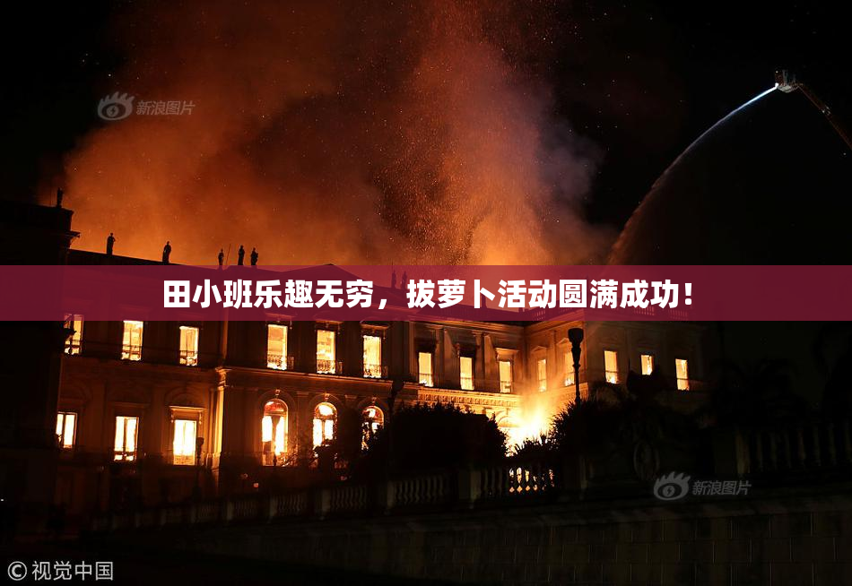 田小班乐趣无穷，拔萝卜活动圆满成功！