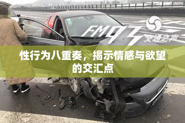 性行为八重奏，揭示情感与欲望的交汇点