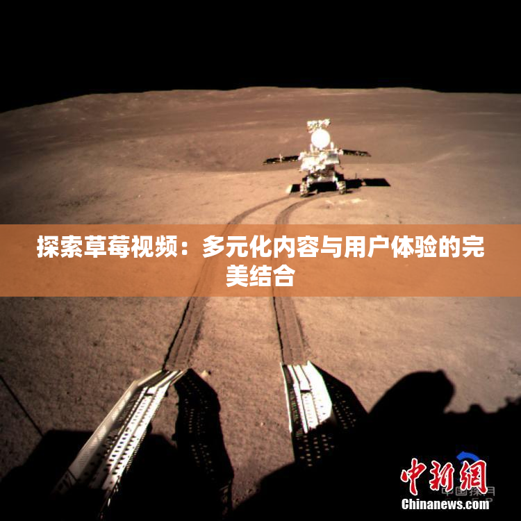 探索草莓视频：多元化内容与用户体验的完美结合