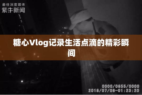 糖心Vlog记录生活点滴的精彩瞬间