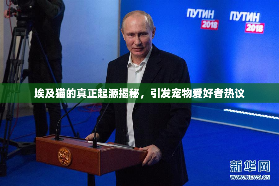 埃及猫的真正起源揭秘，引发宠物爱好者热议