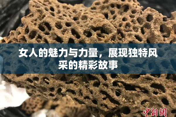 女人的魅力与力量，展现独特风采的精彩故事