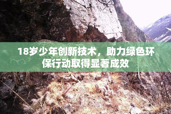 18岁少年创新技术，助力绿色环保行动取得显著成效