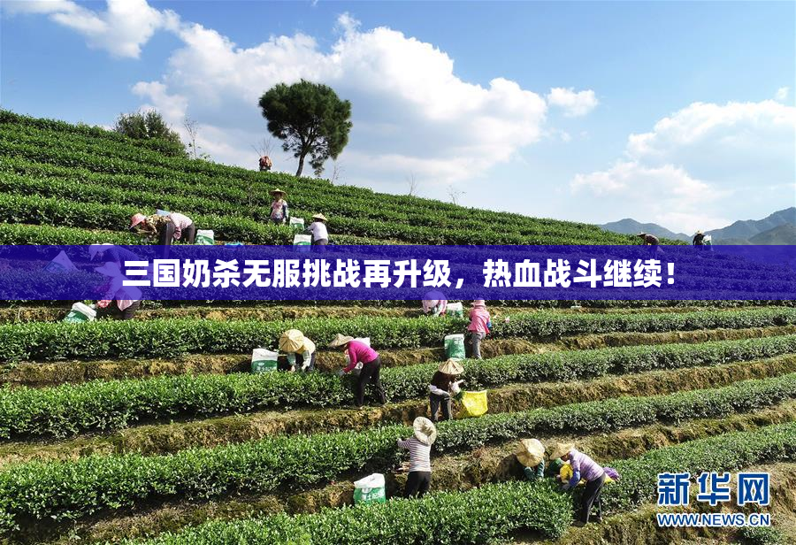 三国奶杀无服挑战再升级，热血战斗继续！