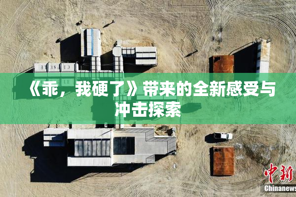 《乖，我硬了》带来的全新感受与冲击探索